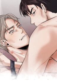 Cover 49383