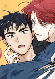 Cover 49385