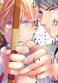 Cover 49387
