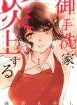 Cover 49395