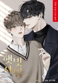 Cover 49447