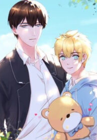 Cover 49450