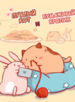 Cover 49491
