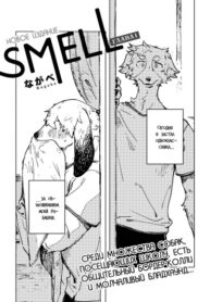 Cover 49505