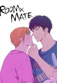Cover 49543