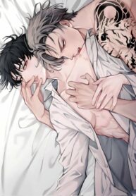 Cover 50018
