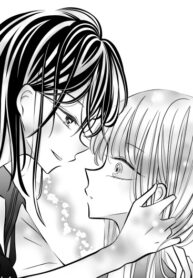 Cover 50036