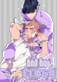 Cover 50065
