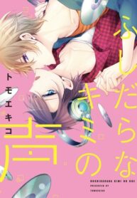 Cover 50218