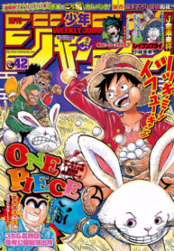 Cover 50238
