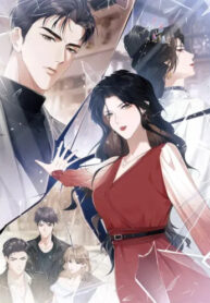 Cover 50260