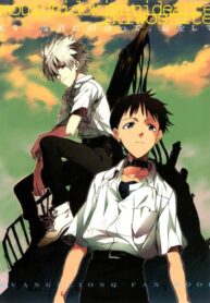 Cover 50282