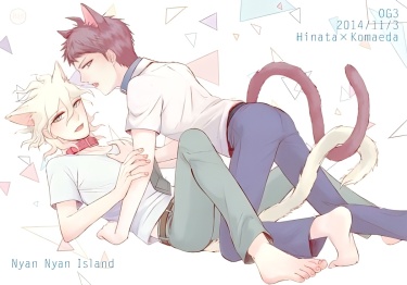 Cover 50404
