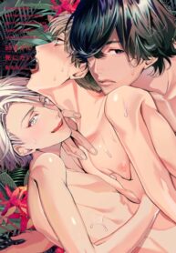 Cover 50452