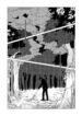 Cover 50478