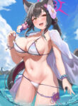 Cover 50486