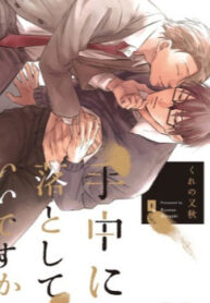 Cover 50698