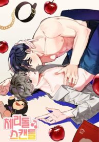 Cover 50772