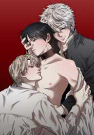 Cover 50816