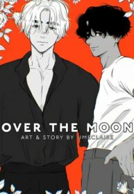 Cover 50884