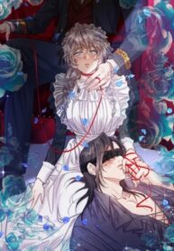 Cover 50905