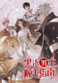 Cover 51049
