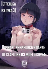 Cover 51085