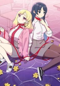 Cover 51097