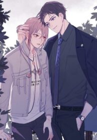 Cover 51152