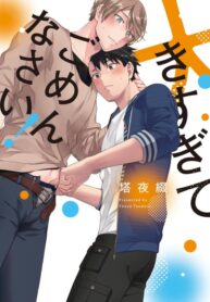 Cover 51193
