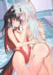 Cover 51245