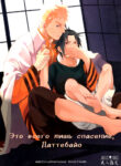 Cover 51247
