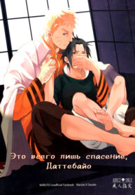 Cover 51247