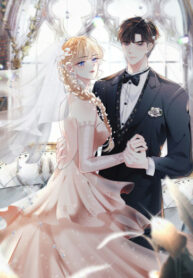 Cover 51294
