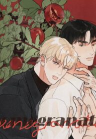 Cover 51367