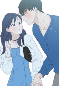 Cover 51411