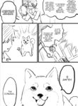 Cover 51432