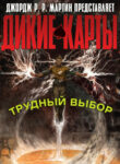 Cover 51511