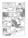 Cover 51530