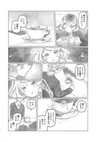 Cover 51530