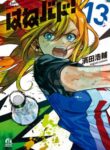 Cover 51536