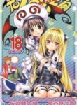 Cover 51545
