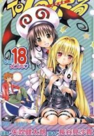 Cover 51545