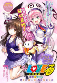 Cover 51645