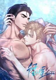 Cover 51660