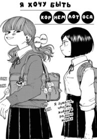 Cover 51743