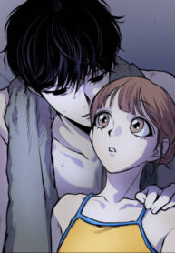 Cover 52040