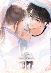 Cover 52043