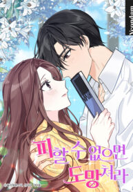 Cover 52051