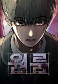 Cover 52113